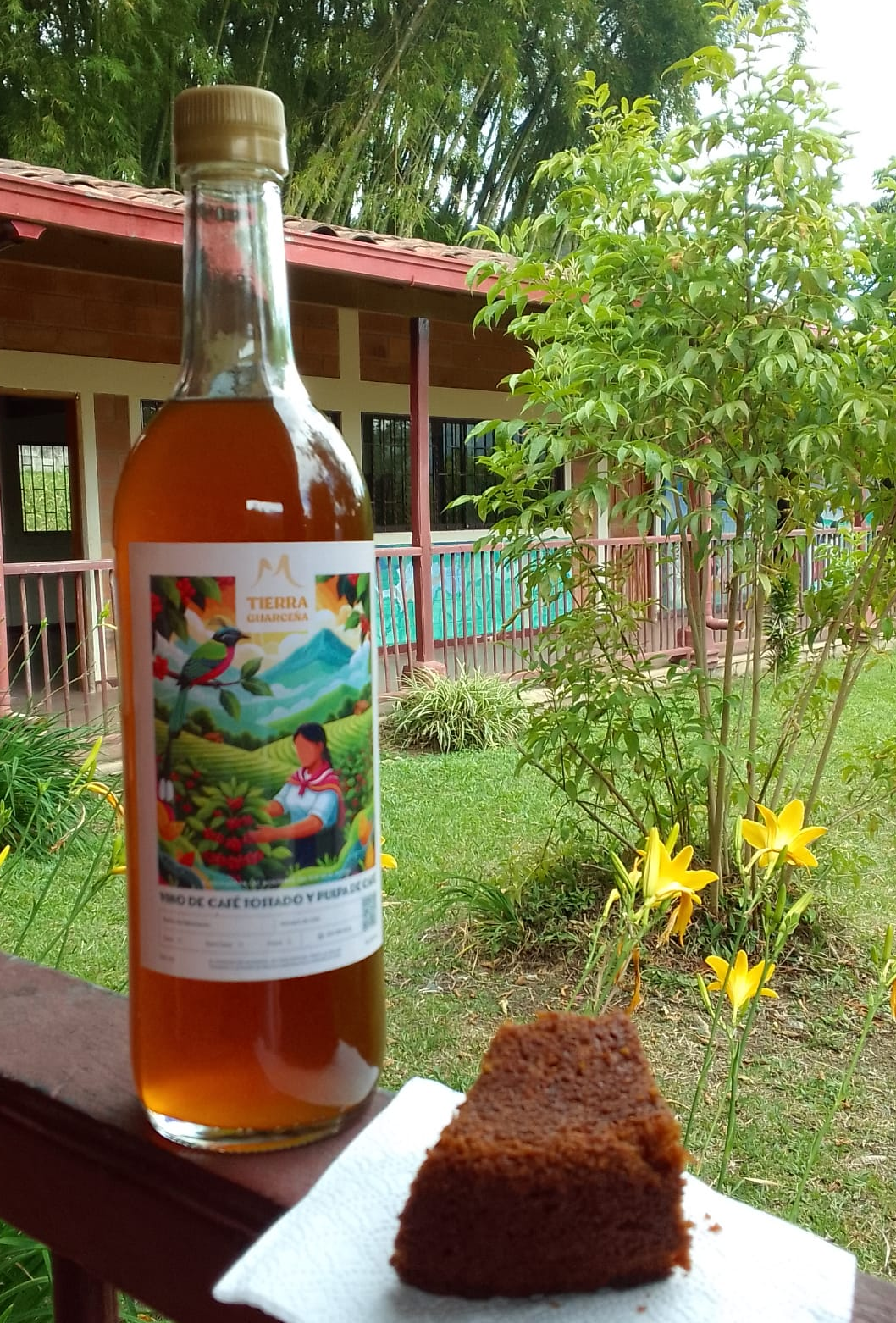 Imagen de introducción